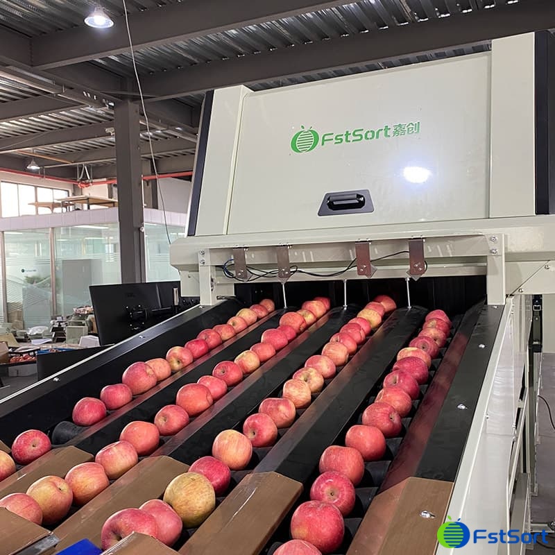 images/1691048435878optical apple sorter.jpg